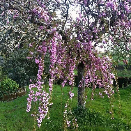 D'hotes La Gautraie Otel 3*